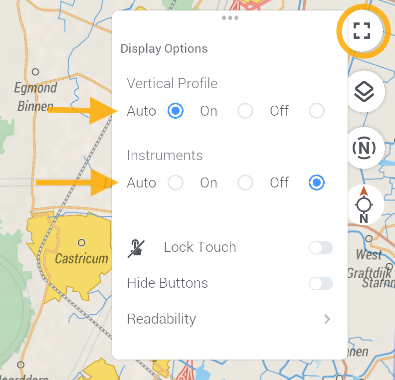 Screenshot of Display options showing Auto / On / Off for Vertical Profile and Instruments ribbon